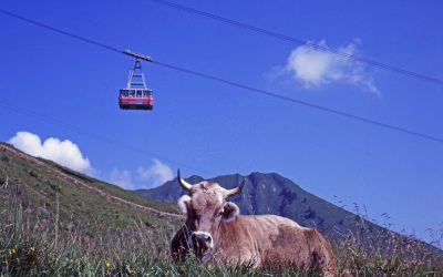 Bergbahnticket inklusive