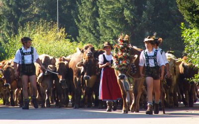 Viehscheid Oberstdorf
