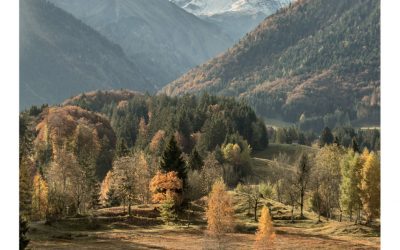 Oberstdorfer Naturgenuss