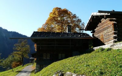 Ganz viel Ruhe und Entspannung