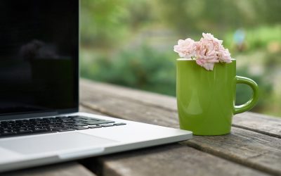 Verfügbarkeiten für unsere Ferienwohnungen