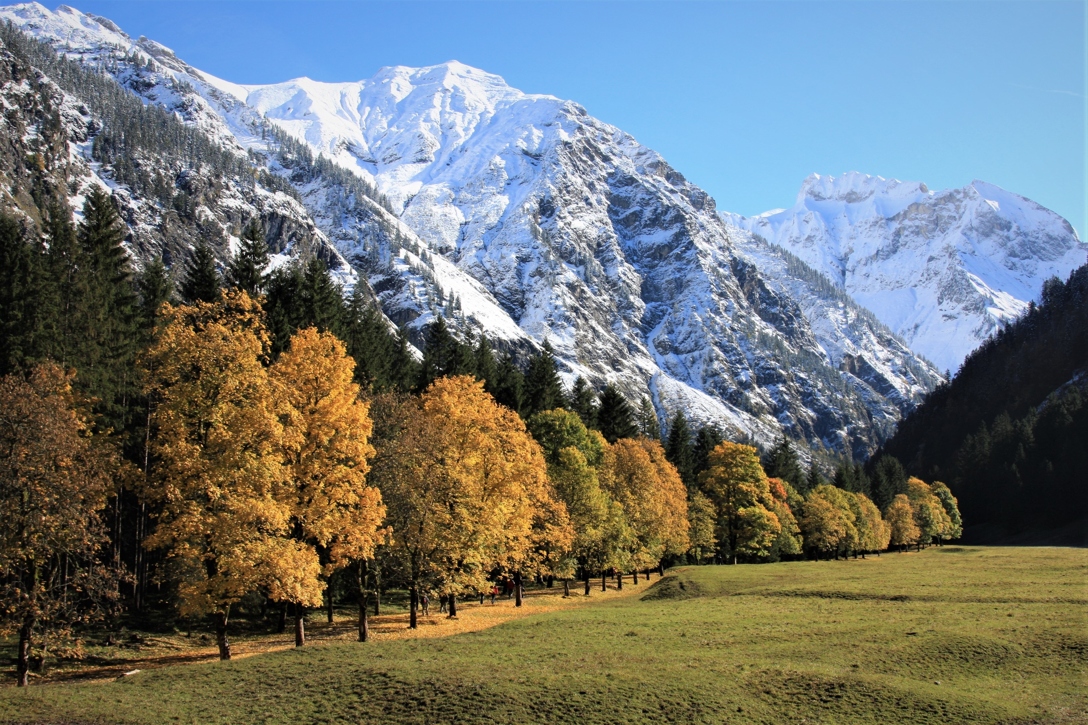 Herbstlich Willkommen In Oberstdorf Haus Partale