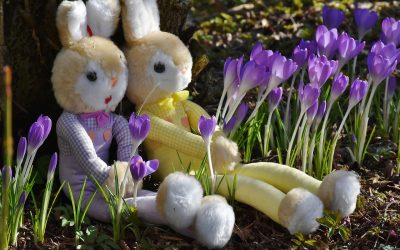 Unser Ostern Last Minute Angebot