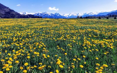 Last Minute Kurzurlaub im Juni