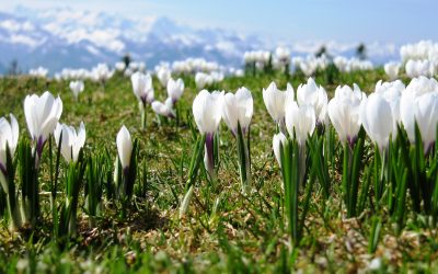 Ferienwohnungen mit Herz im März