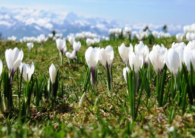 Allgäu Urlaub März