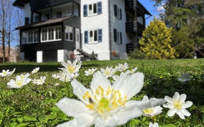 Neues (vom) Haus Partale