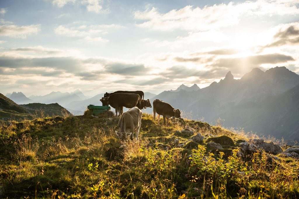 Herbst im Allgäu - ©Tourismus Oberstdorf/Eren Karaman