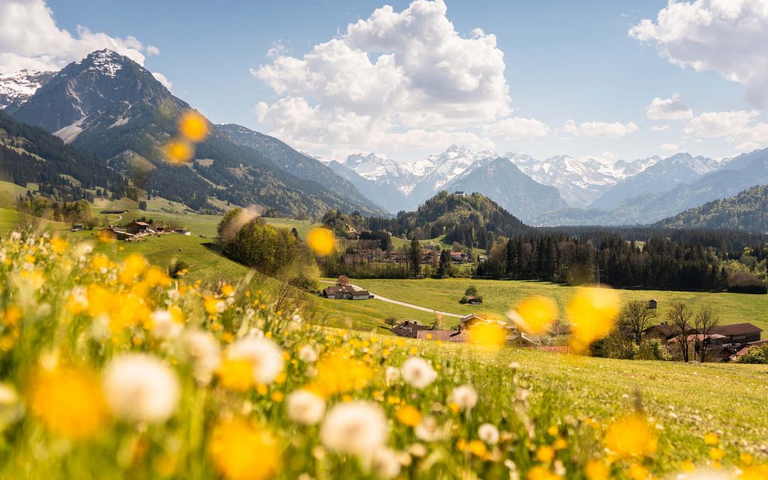 Tourismaus Oberstdorf Frühlingswiese Foto von Eren Karaman